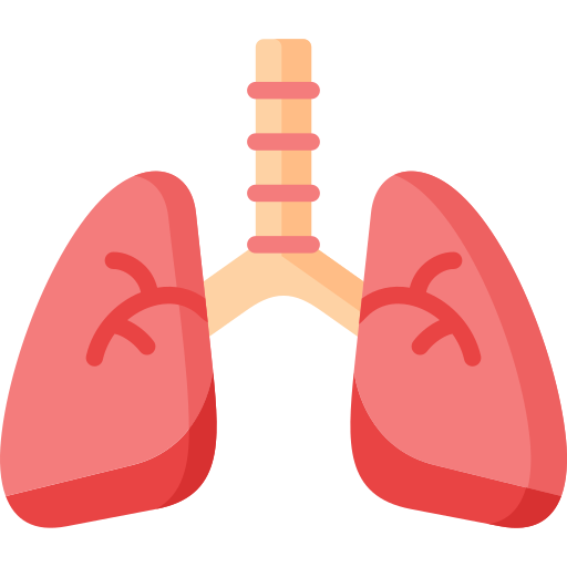 lungs